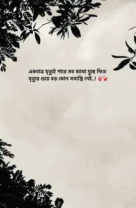 mori o nah🫠❤️‍🩹#foryoupage #foryou #fyp #bdtiktokofficial #muniii #raj_mondal420 @SaDuuu~🥺💜 