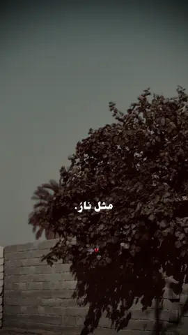 #ستوري #💔🥀 