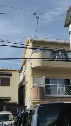 Bagian osaka siap melu giwar giwar👊🏻#xyzbca #fypp #4upage #4u #wonogiri24jam #kenshuseijapan🇮🇩🇯🇵🎌 #suranagung #pshw_tm_1903 