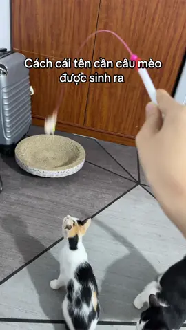 Cần câu mèo, câu mọi loại mèo :))) #fyp #xuhuong #meota #cat #cancaumeo #dochoichomeo #cancaumeolongvu #trending #pikiempate 