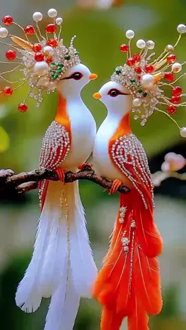 #tranding #birds #beautiful #birds #foryou #Love #birds 