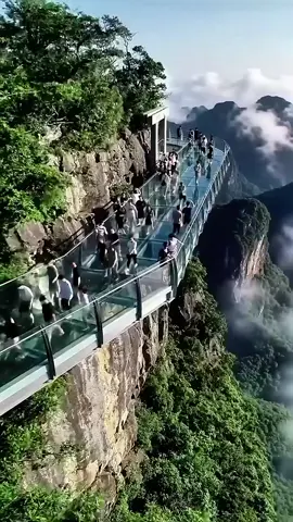 Glass bridge collapse #disaster #collapse #tiktoknews #tiktok #foryoupage #mountains #tik_tok #creatorsearchinsightsincentive 