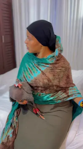 KANGA MOJA @nuryanasru @Sophy_Ron @DIGO TIKTOKER @PRETTY-GLAM💅🥰 @Bujra Mohamed @Salim Changani 002  #likoni #likonitiktokers #jimbomedia #kwaletiktokers #bujramohamed #digotiktokers #jimbo_media #bajunitiktokers #lamutiktokers #kenyantiktok🇰🇪 #mombasatiktokers #mombasa #nairobitiktokers 
