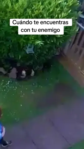 Lo vi en la calle 