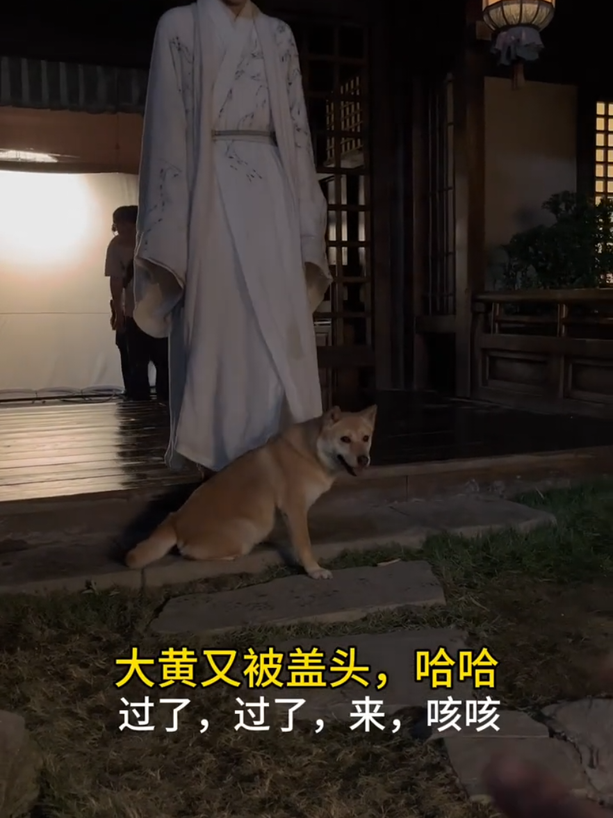 Smart dahuang 💖 #feud #bailu #bailu白鹿 #白鹿 #zengshunxi #zengshunxi曾舜晞 #曾舜晞 #josephzeng #cdrama #chinadrama #fyp #fypシ #fyppppppppppppppppppppppp #foryoupage 