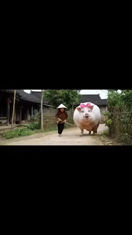 Đây là Phương nhà bà ... 🤣  #AI #haisen  