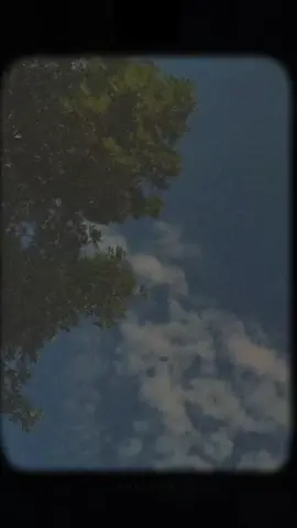 💗🤌🏻💫#trendingtiktokviral #fyp #fyppp #fypageシ #unfreezemyacount #viewsproblem #100kfollowers #grow #growmyaccount #viralvideos #creatorsearchinsights 