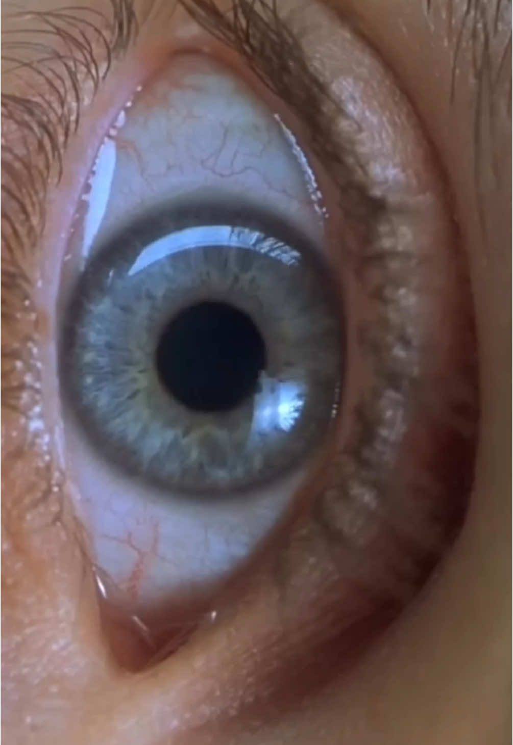 short one i made tor uni#fyp #requiemforadreamedit #requiemofadream 