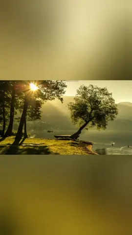 #မေ့မှာပါ #ဝိုင်ဝိုင်း  #foryoupage 