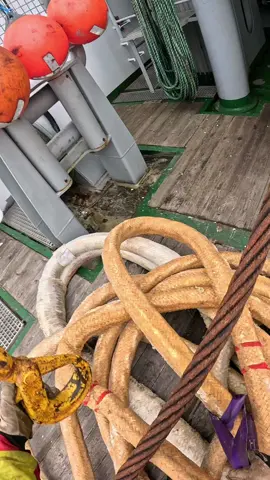 #tiktoksea #norgvarg #offshore 