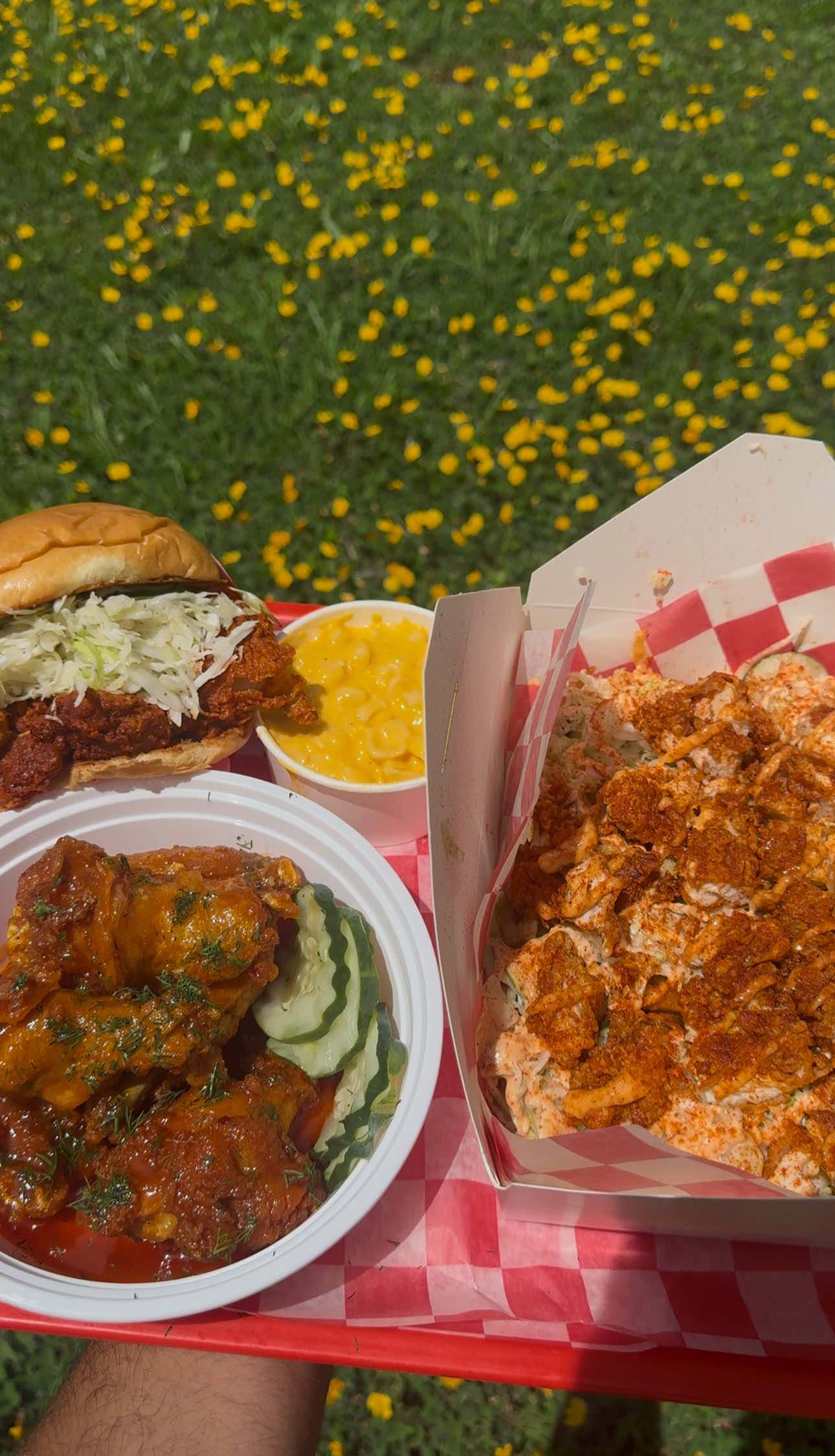 BACK AT @JAM Hot Chicken 🐔 THE BEST NASHVILLE HOT CHICKEN SPOT 🔥 DONT FORGET TO PICK UP A WATERMELON SLUSHIE 🍉 #nashvillehotchicken #orlandofoodie #orlandofood #orlandofl #orlandoflorida #chickenwings #chicken #chickentenders #loadedfries #macandcheese #chickensandwich 