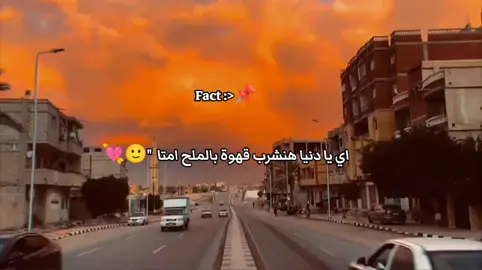 #fypシ #explore #foryoupage #اخصام_سهله #ستوريات #الراعي_الرسمي_للجمله_المفيده 