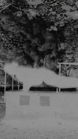 • • • #fyp #foruyou #motivation #discipline #viral_video #nature 