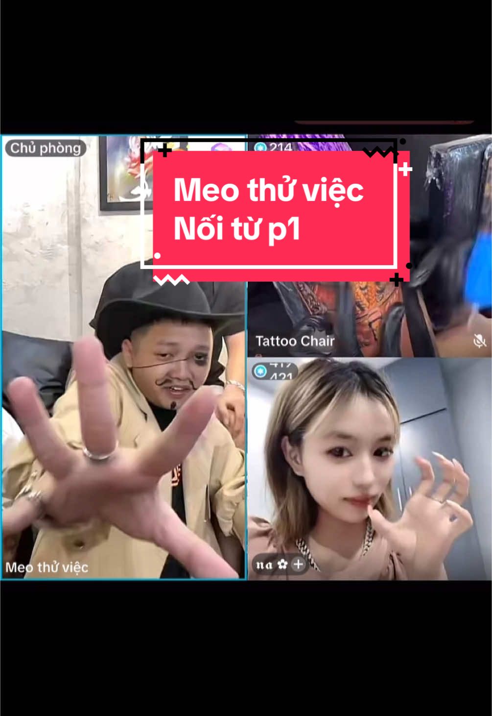 Meo thử việc live nối từ #meothuviec #fyp #meo #xuhuong 