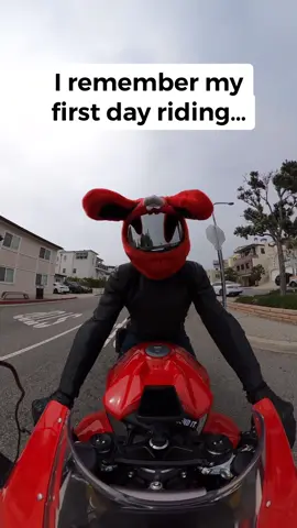 This never happens to me, like ever. #motorcycle #humor #bikelife #comedy Except that it happens all the time. Bunny cover from @MotoLoot 