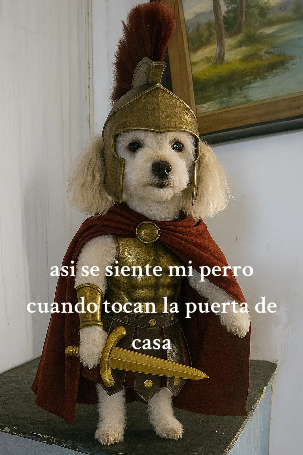 Mílo 🐩 ❤💖🥰❣️💝🤗❣️ #caletaoliviasantacruz  #🥩🍗🌭🍔🦴🍖🤩🥰😍  #travesurasdeperros  #travesurasdeperros 