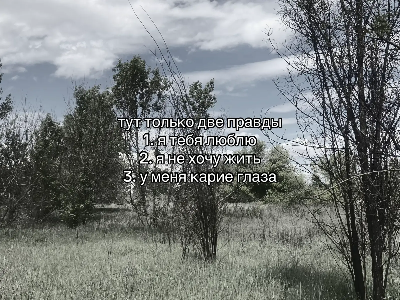 #щп #щитпост 
