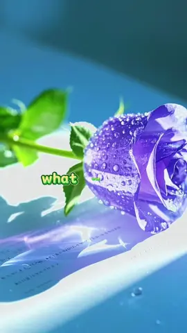 #Love #lovequotes #fypシ 