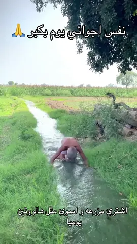 يوم بكبر 