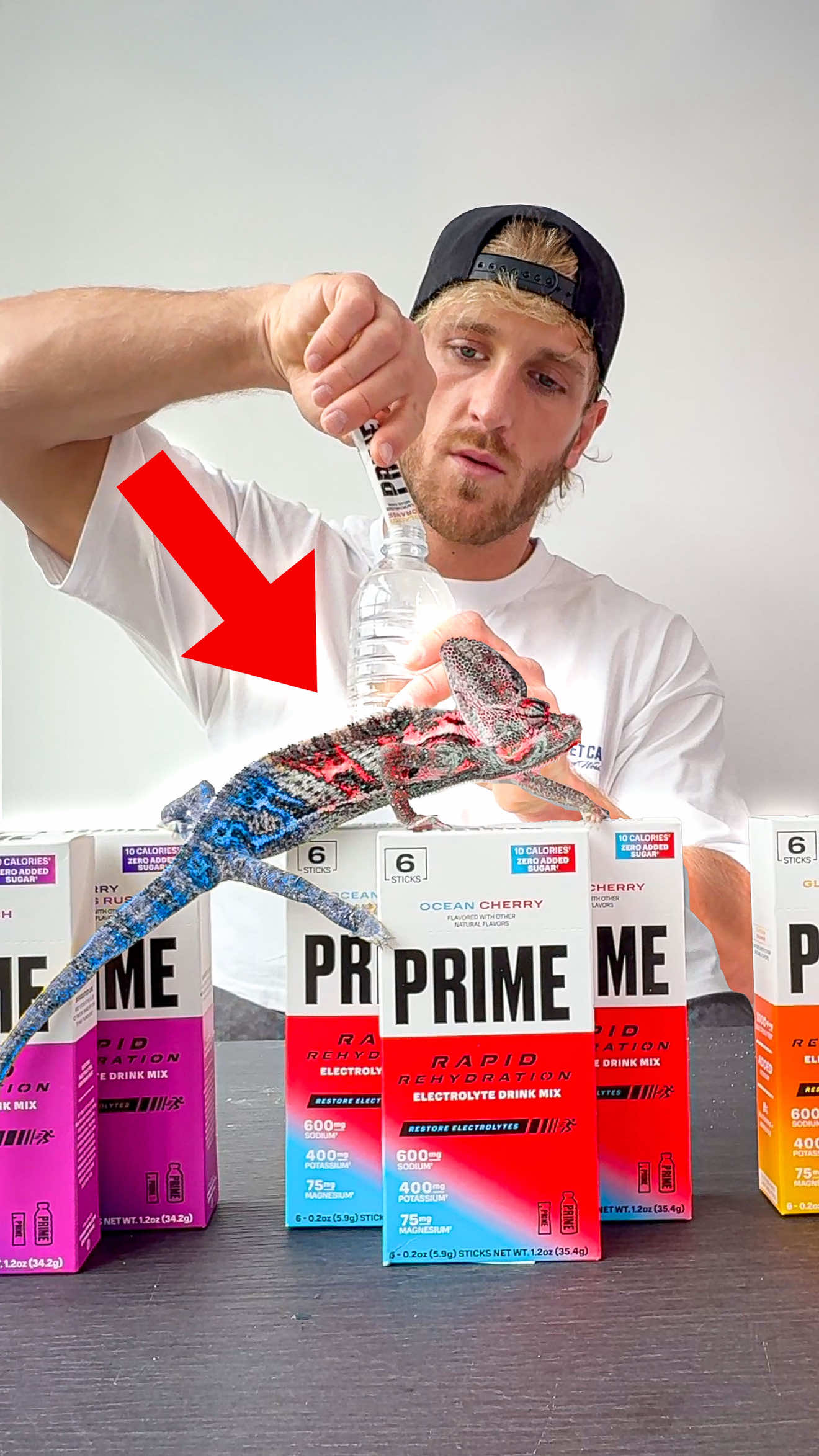 PRIME Rapid Rehydration: 1,085mg electrolytes. 600mg sodium. 0g sugar. Which flavor is your favorite? #DRINKPRIME 