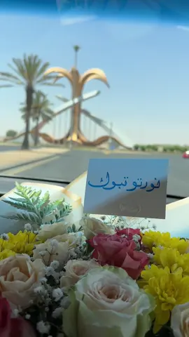 نورتوني اهلي #تبوكنا #تبوك #بدون_موسيقى #اكسبلورexplore 