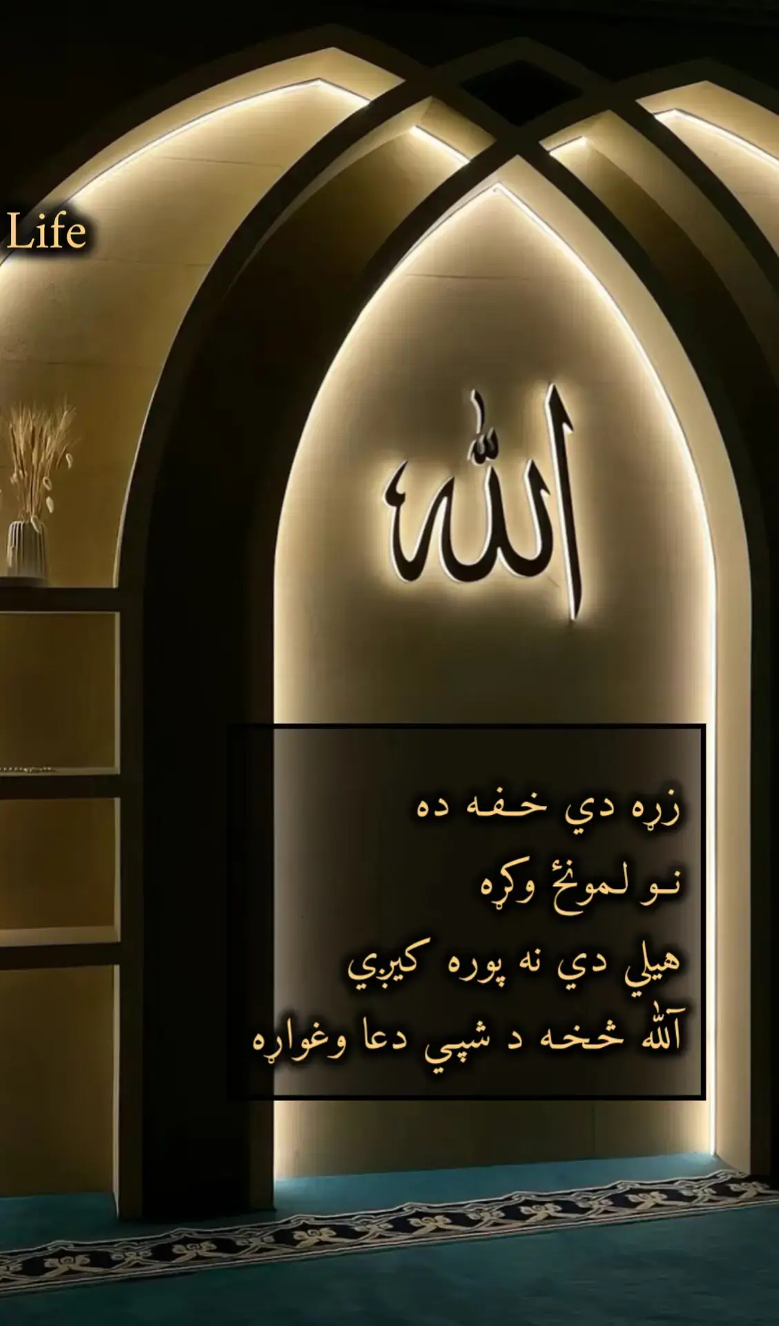 زړه دي خفه ده ؟؟ ##tiktok#vital#vedio#