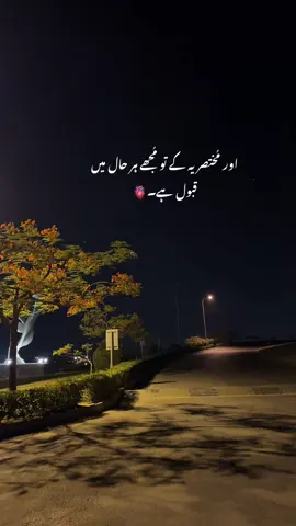 عام ہے سارا جہاں میرے لیے خاص ہو تُم۔🥹🤌🏻 #aestheticvideos #foryoupage❤️❤️ #status #fyp 