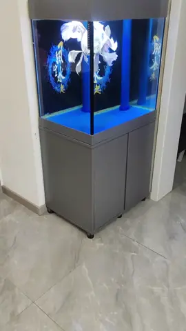 #tiktokgiaitri #xuhuongtiktok #xuhuongfacebook #giaitri #cácảnhđẹp #mêcácảnh #xuhuong #tiktok #cácảnh #cá #fpy #shortbodyfish #cachepphitan #cacanh #cachepsutu #cachepphitanvip #facebook #cacanhanhsaomai #chepsutu #nghechuchot #viralvideo #LearnOnTikTok #cachepsutuvip #carong #arowana #caloc #cakieng #trend #ott #phitan #cáchépsưtử #chépsưtử #chépsưtửtrắng #thuysinh #guppy #betta #aquarium #locnuoihoca