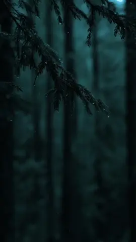 ያው ነህ🙏🙏 #protestantmezmur #gospelmusic #vira #protestant #viralvideos #foryoupage #ethiopian_tik_tok🇪🇹🇪🇹🇪🇹🇪🇹ሀገሬ #mezmure_christian #mezmur #for 