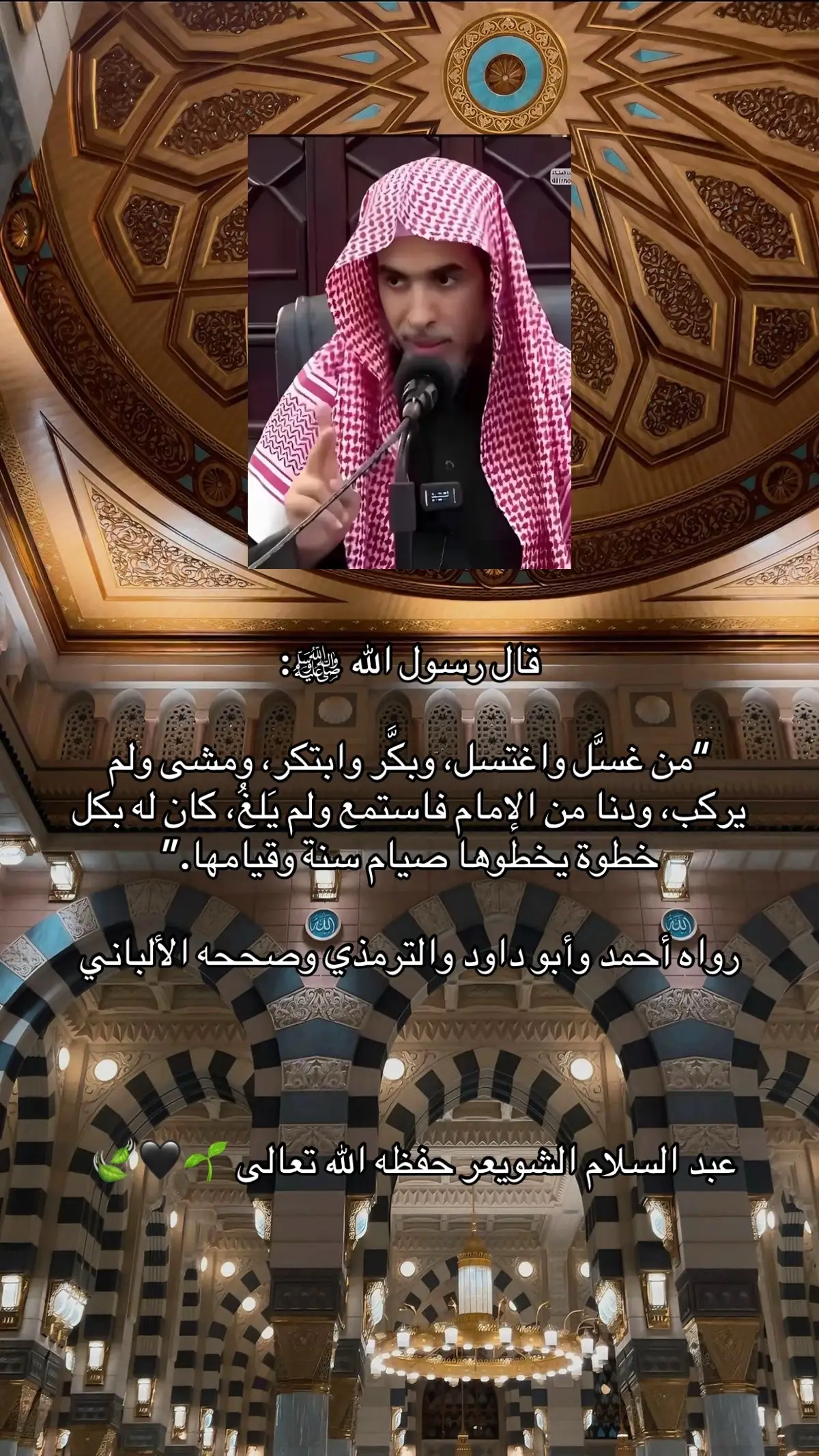عبد السلام الشويعر حفظه الله تعالى 🌱🖤🍃 : #عبد_السلام_الشويعر #عبد_السلام_الشويعر #عبد_السلام_الشويعر #ابن_عثيمين_رحمه_الله #عبد_السلام_الشويعر #ابن_باز_رحمه_الله #عبد_السلام_الشويعر 