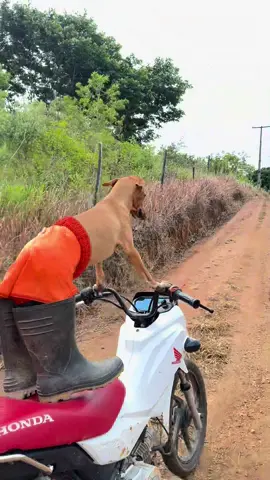 E VAI ELE 