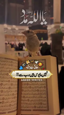 نہیں مایوس ہے رب سے#naatsharif #darood_e_pak #growmyaccount #foryoupage❤️❤️ #standwithkashmir #islamic_video 