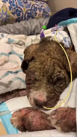 #AmericanTikTok #USTikTok #TikTokCanada #CanadaTikTok #BritishTikTok #UKTikTok #UKTikTok #CanadaTikTok #BritishTikTok #TikTokCanada #USTikTok #AmericanTikTok 