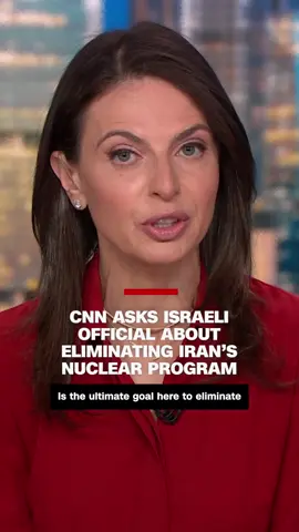 Former Israeli Defense Minister Yoav Gallant tells CNN's Bianna Golodryga that it's up to the 