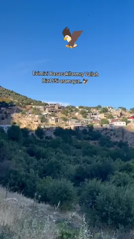 evimizi basacaklarmış#adiaman#kahta#Alidamköyü