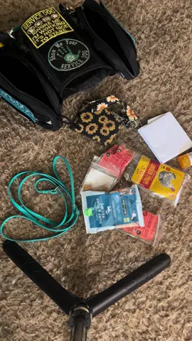 #servicedog #servicedogintrainingpuppy #servicedogintraining #servicedoglife #servicedoghandler #servicedogteam #psychiatricservicedog #autismservicedog #ptsdservicedog #psychiatricservicedogssavelives #sdit #servicedogintraining #DogTraining #servicedogschangelives #servicedogeducation #servicedogsgetdaysoff #servicedogsoftiktok #mentalhealthmatters #MentalHealthAwareness #endthestigma #selfharmsurvivor 