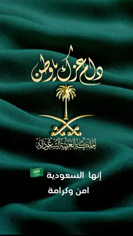 انها السعودية  امن وكرامة  #انها_السعودبة #السعودية🇸🇦 #السعودية #الملك_سلمان #محمد_سلمان #شعب_الصيني_ماله_حل😂😂 