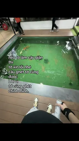 cho to xin loi nhe.! #xuhuong #tamtrang #sadstory #tinhyeu #suy #viral #fyp #sorry #caption 