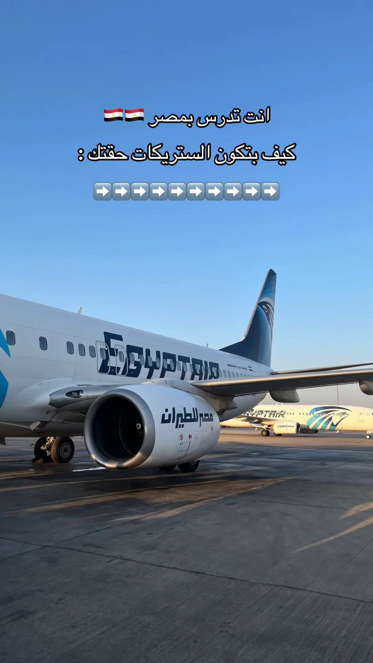 #مبتعثين_مصر #🇸🇦 @Tara Abboud تارا عبود 