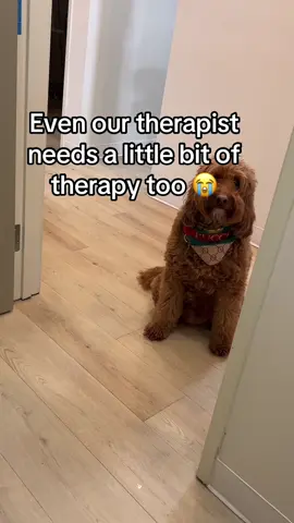 Even the therapist needs therapy ❤️#drrosysmile #rosydental #cheekydentist #orangecountydentist #rosydental #therapydog 