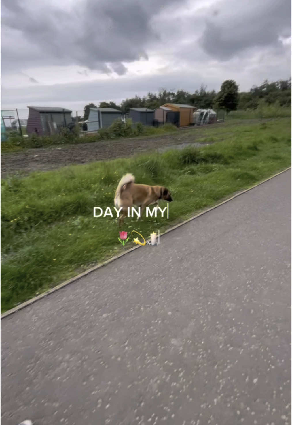 Day in my life 💫 #dailyvlog #Vlog #dayinmylifevlog #dayinmylife #diml #ditl #dayinthelife #satisfying #aesthetic #productive #girlythings #routines #routineaesthetic #timestamps 