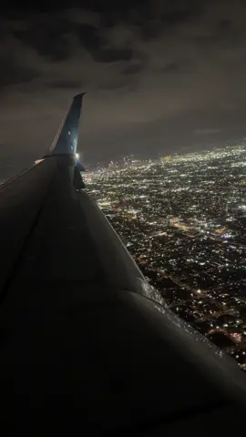25.04.2025 #landing at #LAX #losangeles #airport from Las Vegas. #b737 @delta @skyteam #holiday #traveller #fyp #viajando #foryoupage #fly #avgeek #flying #foryoupage❤️❤️ #aviation #travellingvideos 