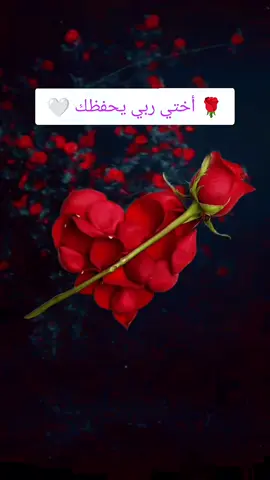 🤍أختي 🤍 #امي  #أختي 