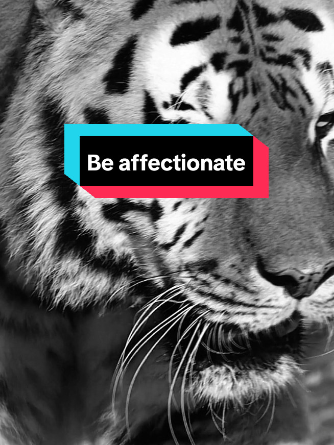 يحقدون عليك ولم يرو منك إلا كل الخير منى يفهموا أننا لا They hate you and have only seen good things from you. They understand that we are not #اقتباسات #حالات_واتس #تيك_توك #اكسبلور #ترند #تحفيز #خواطر #ستوريات #كلام_من_ذهب #عبارات #motivation #motivationalvideo #motivationmonday #motivationalquotes #tik_tok #explore #tranding #fyp #viralditiktok #السعودية #العراق #سوريا #الأردن #عمان #الكويت #البحرين #تونس #المغرب🇲🇦 #الجزائر #مصر🇪🇬 #ليبيا #قطر #فرنسا #france #italy 