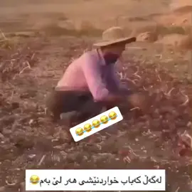 ##tiktok #foryou #slemani #hom #arbil  بایز پیازی لێ بوو بە ڤیاگرا😂😂