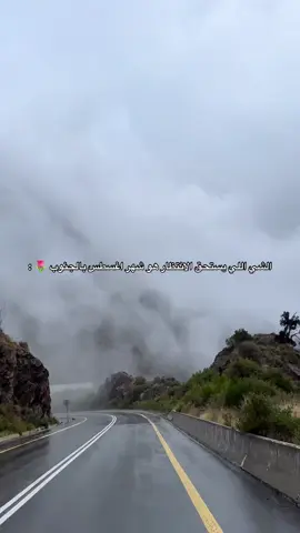 #الجنوب #ابها_الان #fypage #اكسبلور #ضباب #ترندات_تيك_توك #شيلات #امطار 