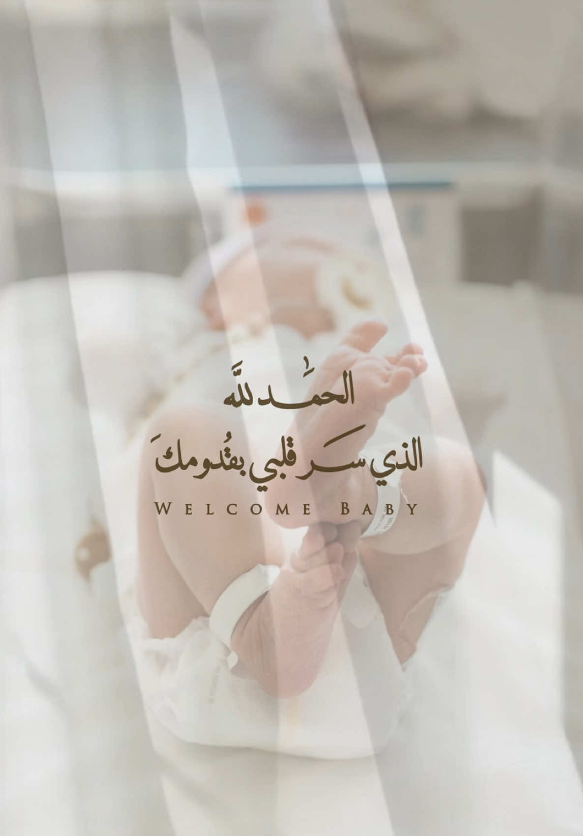 #دعوات_الكترونية #بشارة_مولودة #تصاميم_فيديوهات #بشارة_مولود #بشارة_مواليد #explore #fypシ 