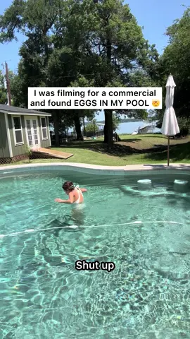 now why did it do that 🥚 
