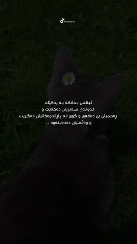 🤲🏼🥹#mrwaarry #الحمدلله_دائماً_وابداً #foryoupage #حسبي_الله_ونعم_الوكيل #oops_alhamdulelah #typ 