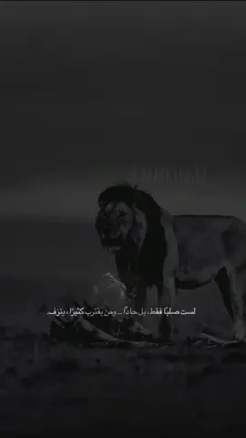 asmar / ألخال 
